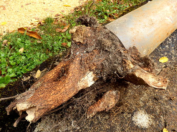 why do my drains keep blocking — Blu-Stream Plumbing