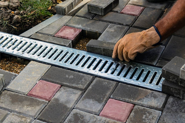 signs of blocked drains outside — Blu-Stream Plumbing