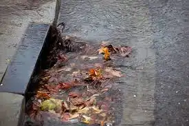 The Complete Guide to Blocked Drains in Shepparton Causes, Solutions & Prevention